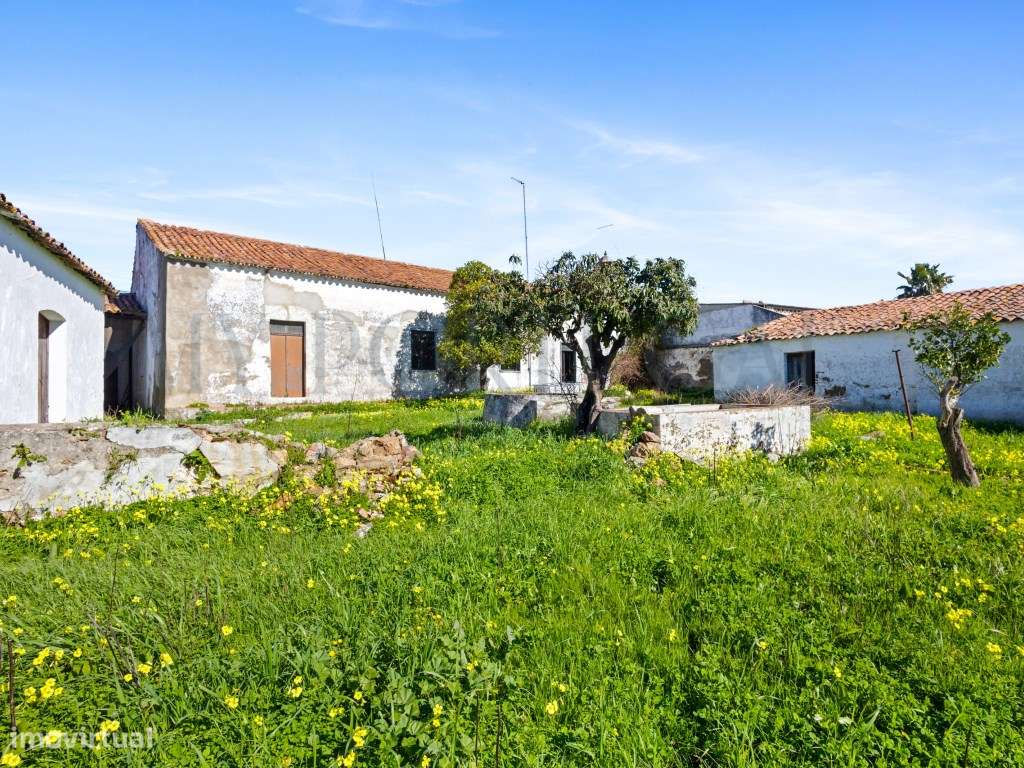 Solar Histórico de 1936 com Grande Quinta no Centro da Vila Oportun... - Grande imagem: 3/25