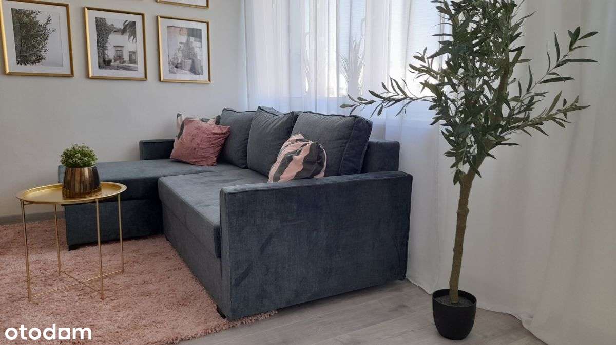 Atrakcyjne 2 pokoje, 42 m2, po remoncie-3