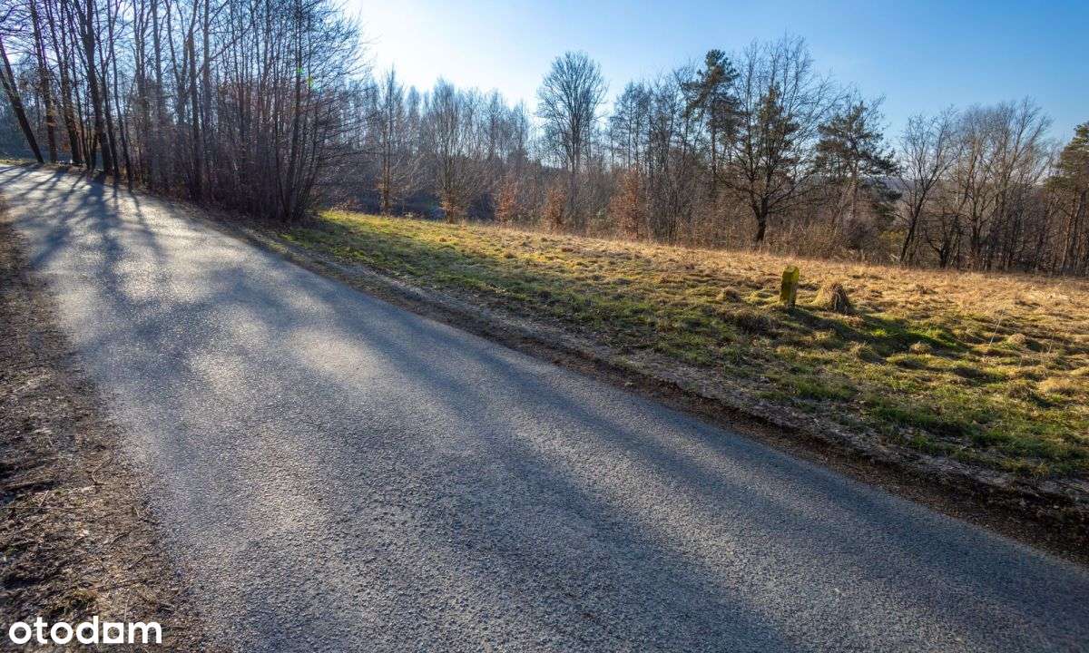 Nowy Wiśnicz 3 km działka budowlana  16 ar - Pełny obrazek: 4/12