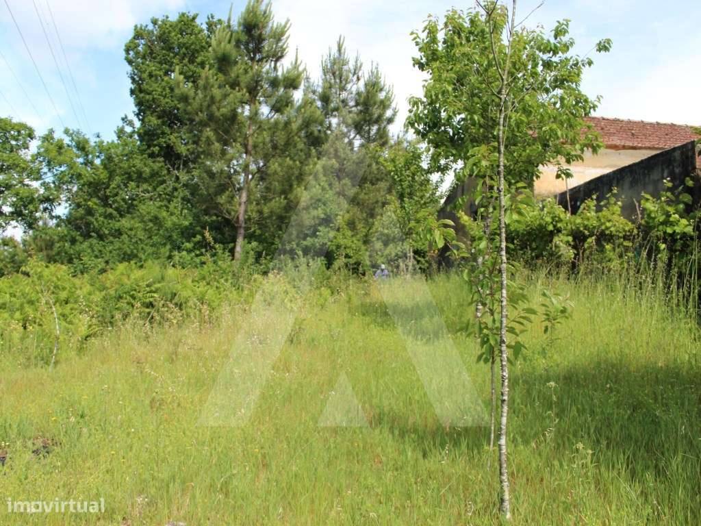 Terreno rústico com possibilidade de construção - Grande imagem: 5/21