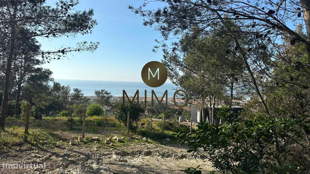 Terreno Para Venda na Murtinheira-27