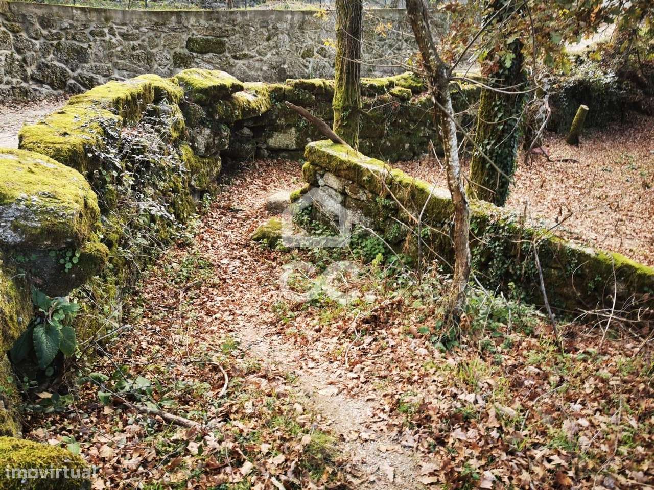 Quinta à venda em Rossas, Vieira do Minho-18