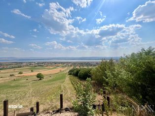 Pivnita cu parcela de vie - de vanzare, Uileacu de Cris, Bihor - Imagine principală: 5/11