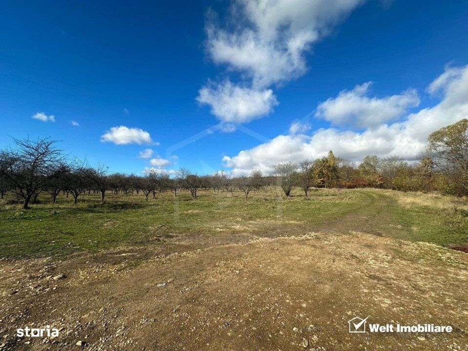 Teren Dambu Rotund 4750 mp, intravilan, UTR TDA_L, posibilitate invest - Imagine principală: 4/4