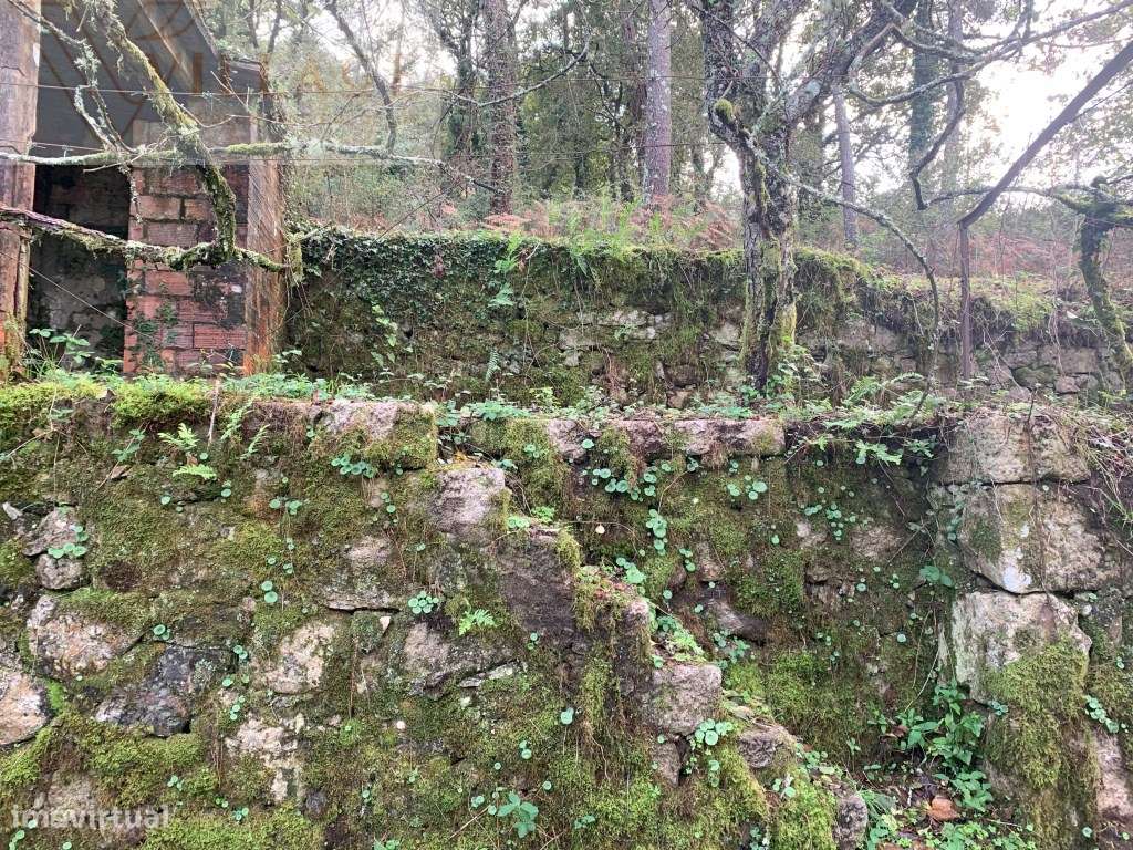 Terreno - Grande imagem: 5/19