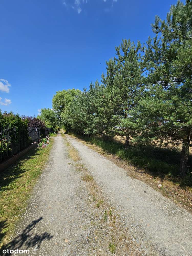 Segment z dużym ogrodem- Żurawiniec k. Wrocławia- gotowy w 2026-10