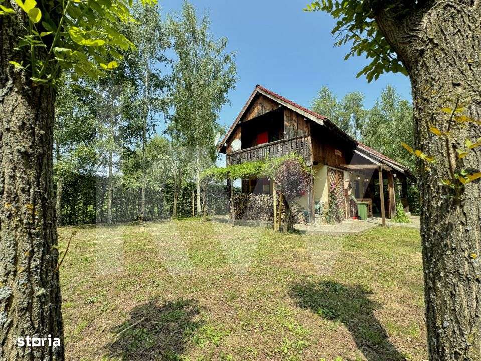 Cabana rustica de vis pe Valea Avrigului – un colt de rai in mijlocu - Imagine principală: 3/19