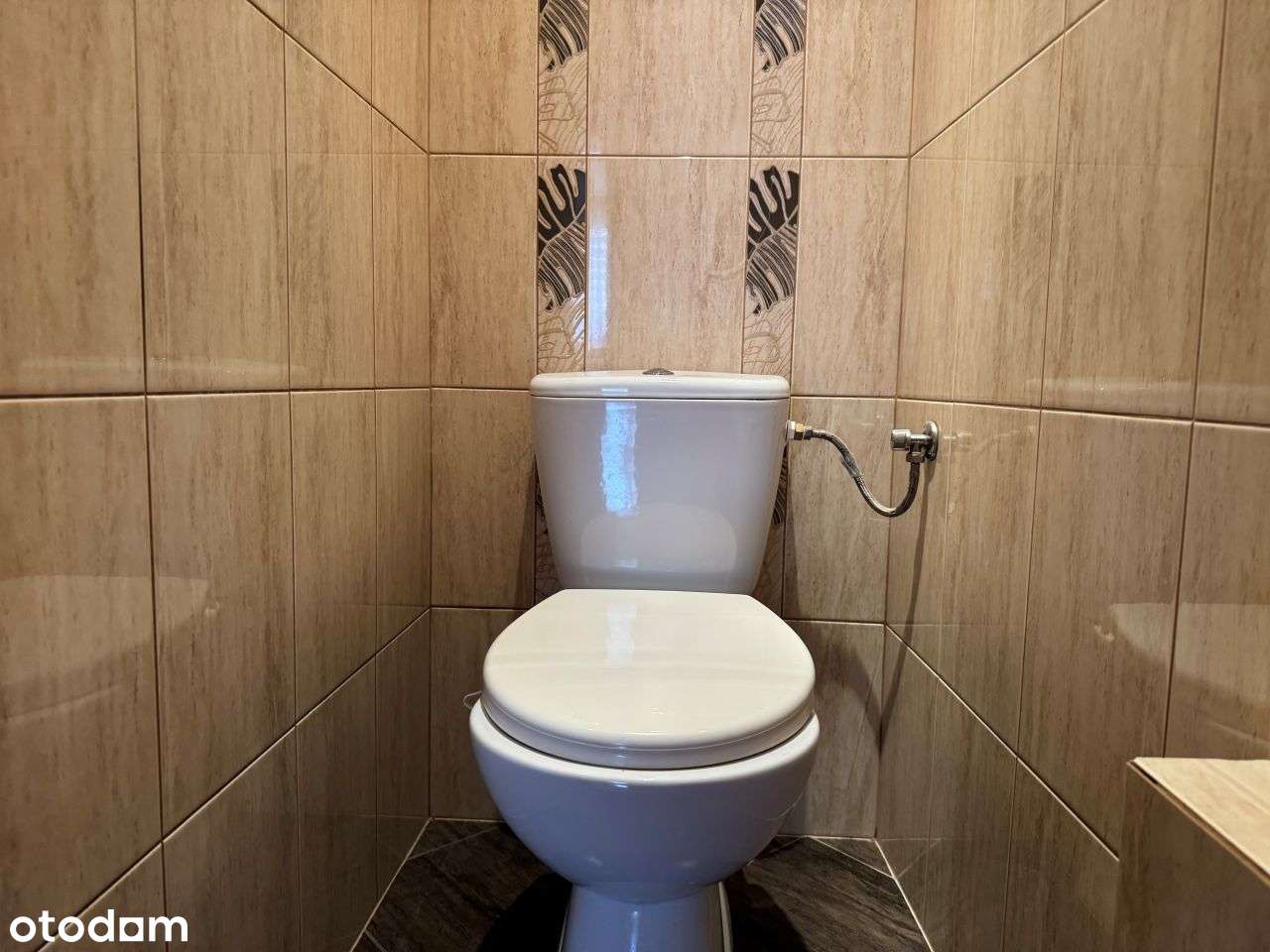 Siedlisko w gminie Brańszczyk-6