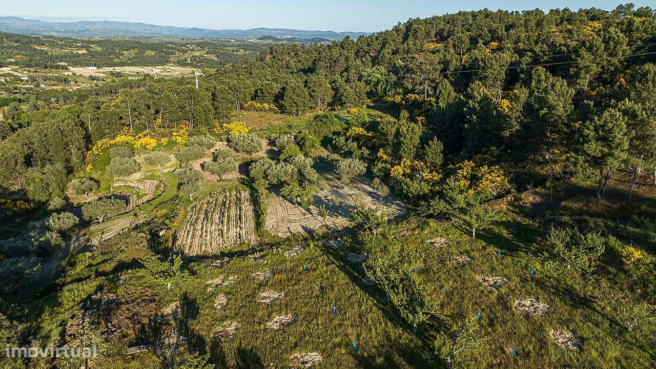 Terreno  para venda - Grande imagem: 5/16