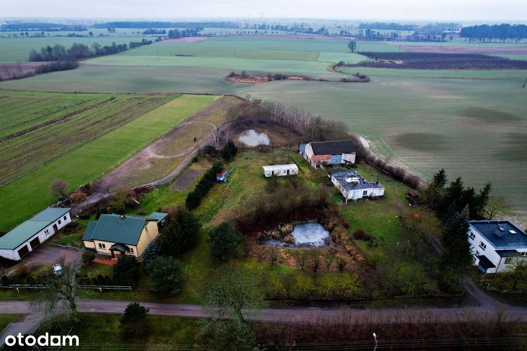 Urokliwa działka ze stawem SPOKÓJ I CISZA Nowa cen-6