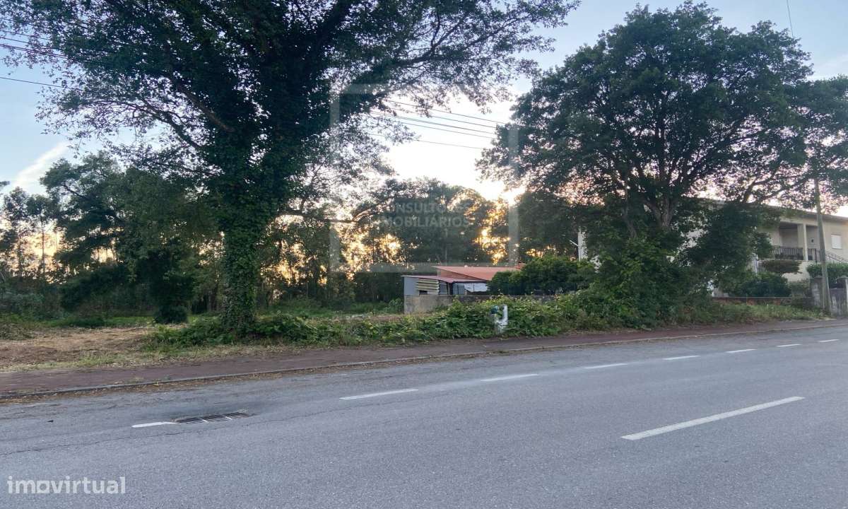 Terreno Rústico  Venda em Sangalhos,Anadia-14