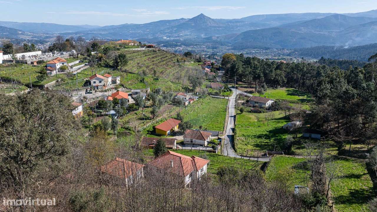 Quinta T5 para venda - Grande imagem: 2/47