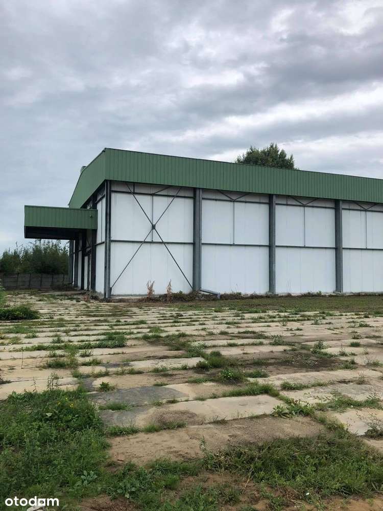 Wynajmę Magazyn Hale produkcyjno magazynowe różne - Pełny obrazek: 2/5