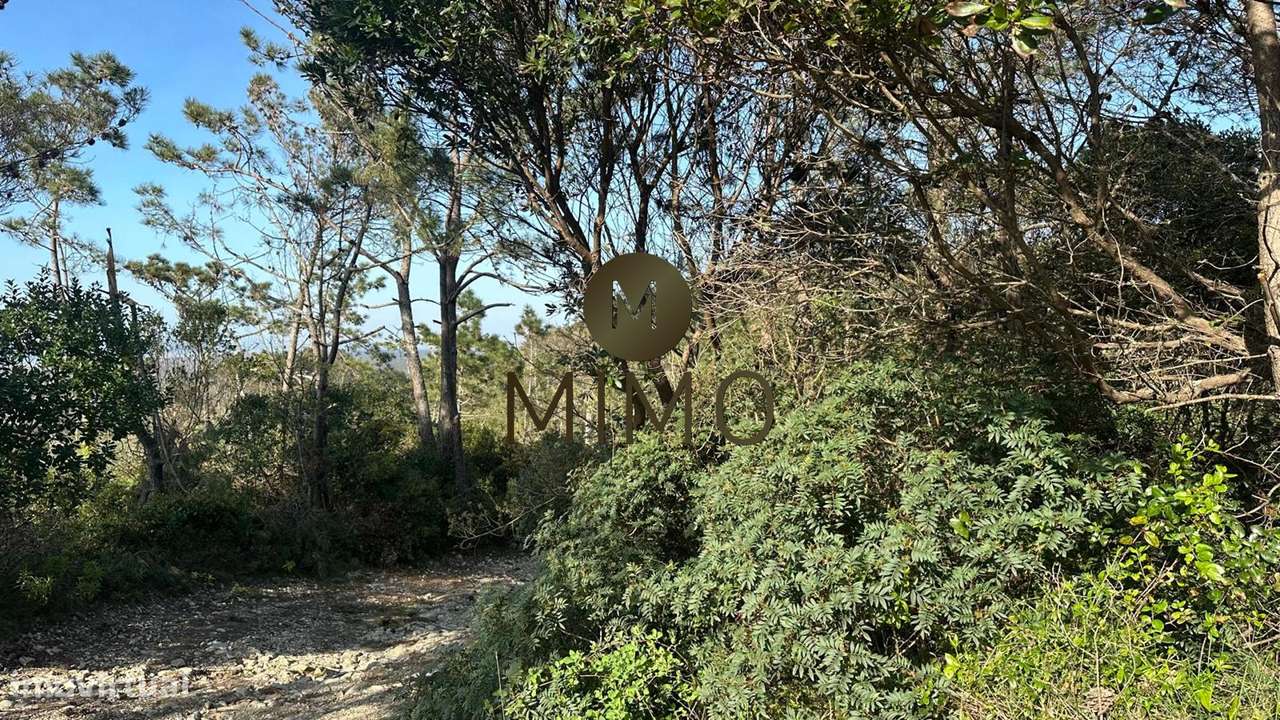 Terreno Para Venda na Murtinheira-31