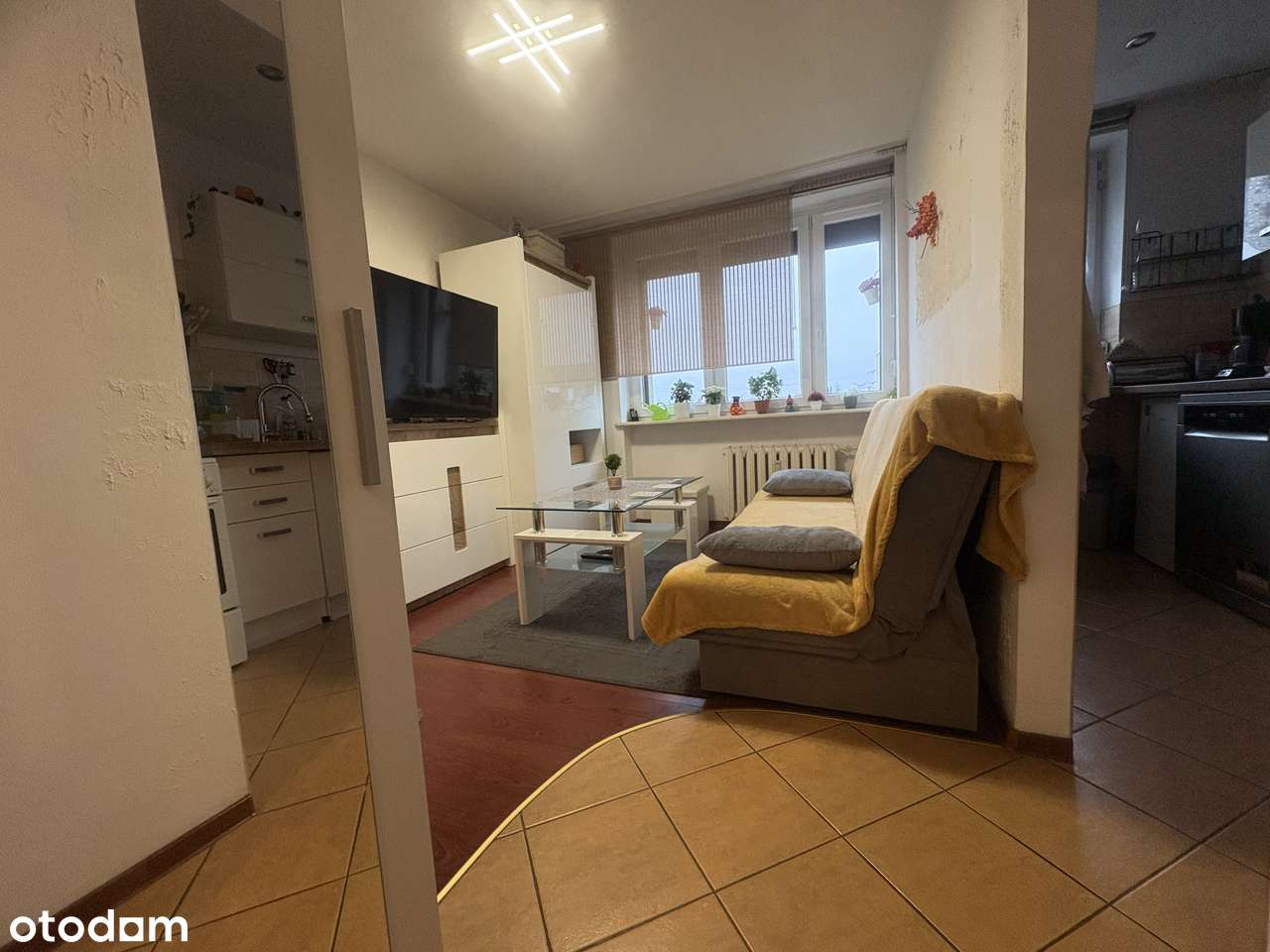 Kawalerka Bytom Vitor - Pełny obrazek: 5/6