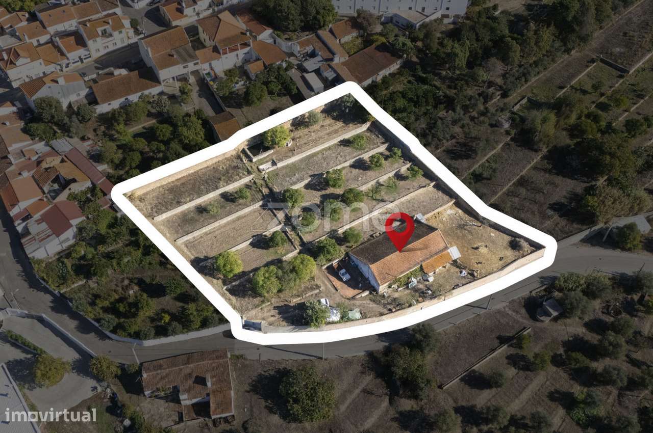 Lagar || Montalvo, Constância-33