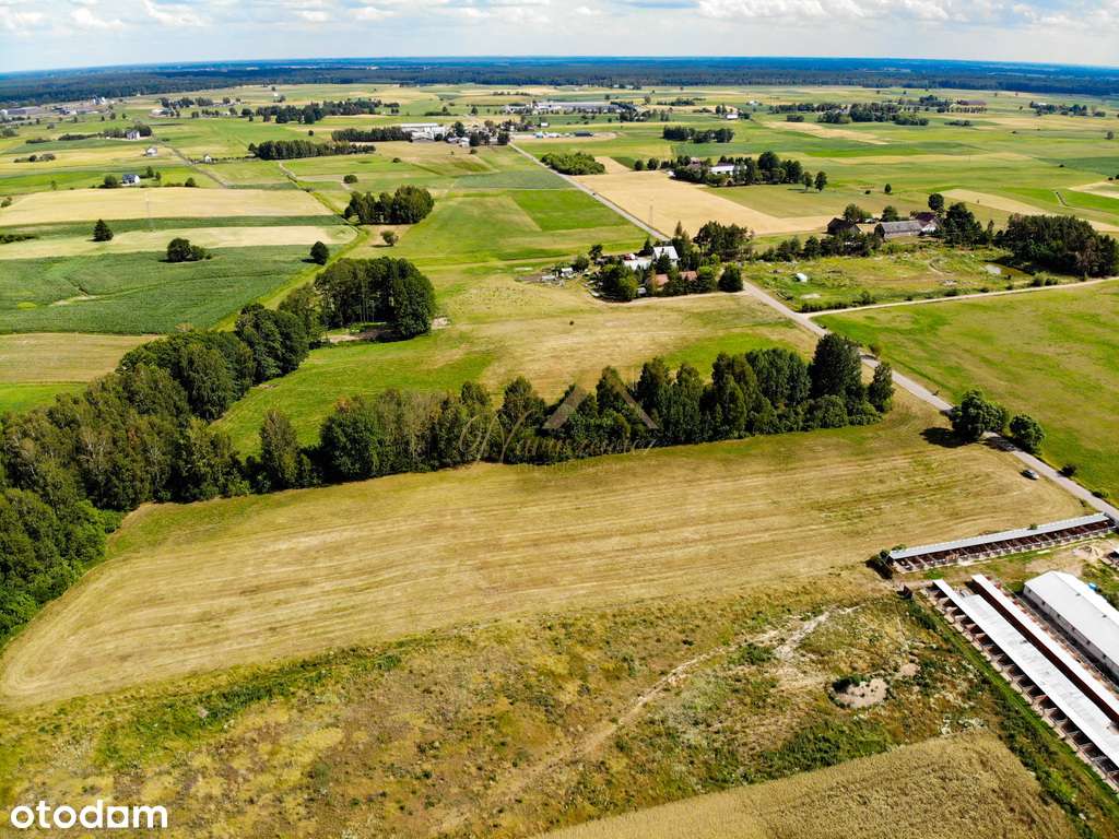 Działka przy Augustowie, 1.28ha - Pełny obrazek: 5/9