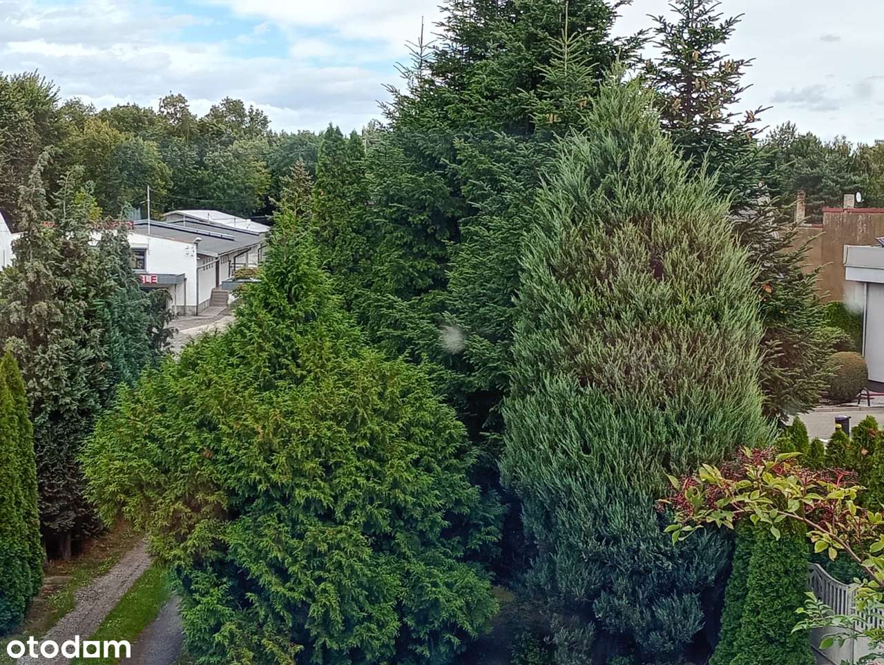 Dom na sprzedaż Dobra lokalizacja Okazja pow. Kłobuck-13