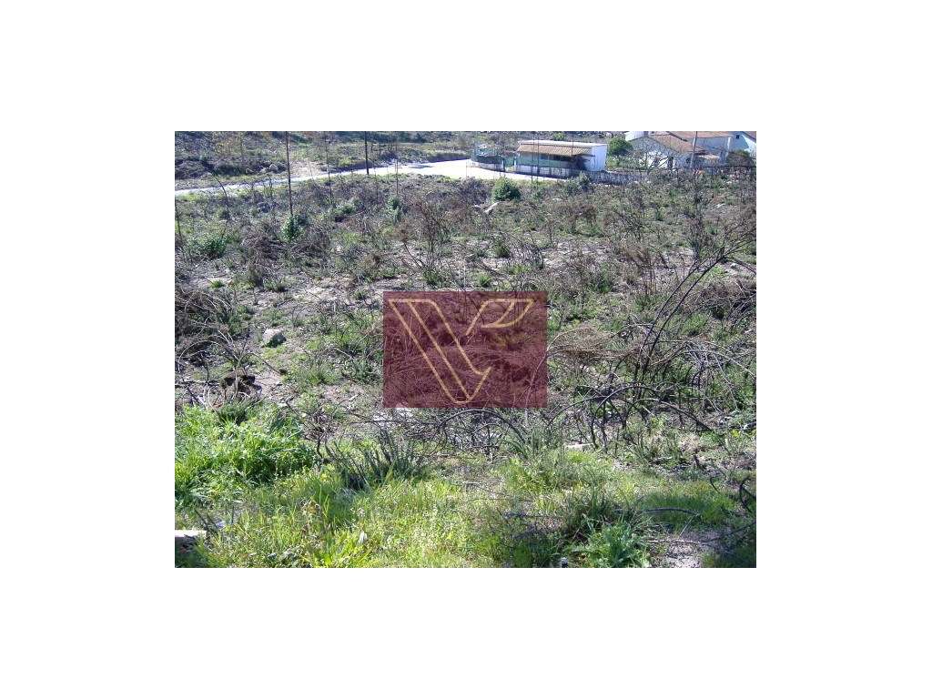 Terreno - Grande imagem: 2/2