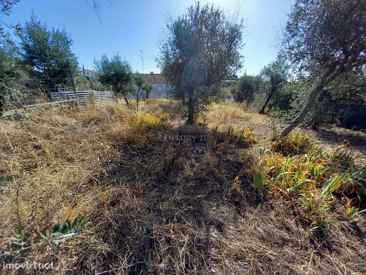 Terreno com 1100m2, Sobral do Campo