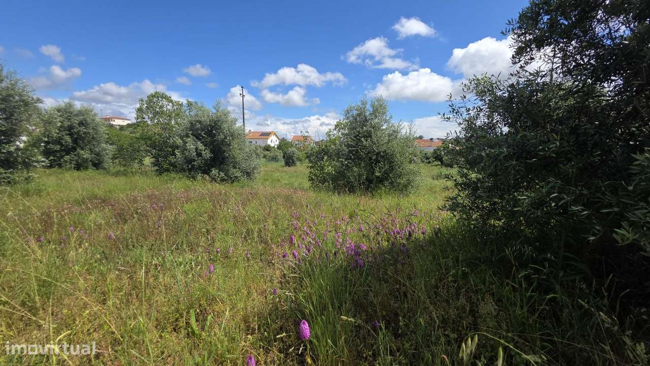 Excelente Terreno para Moradia a 5 kms de Tomar-11
