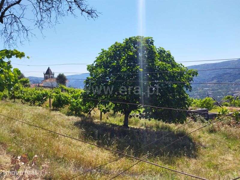 Terreno / Baião, Ancede e Ribadouro - Grande imagem: 4/13