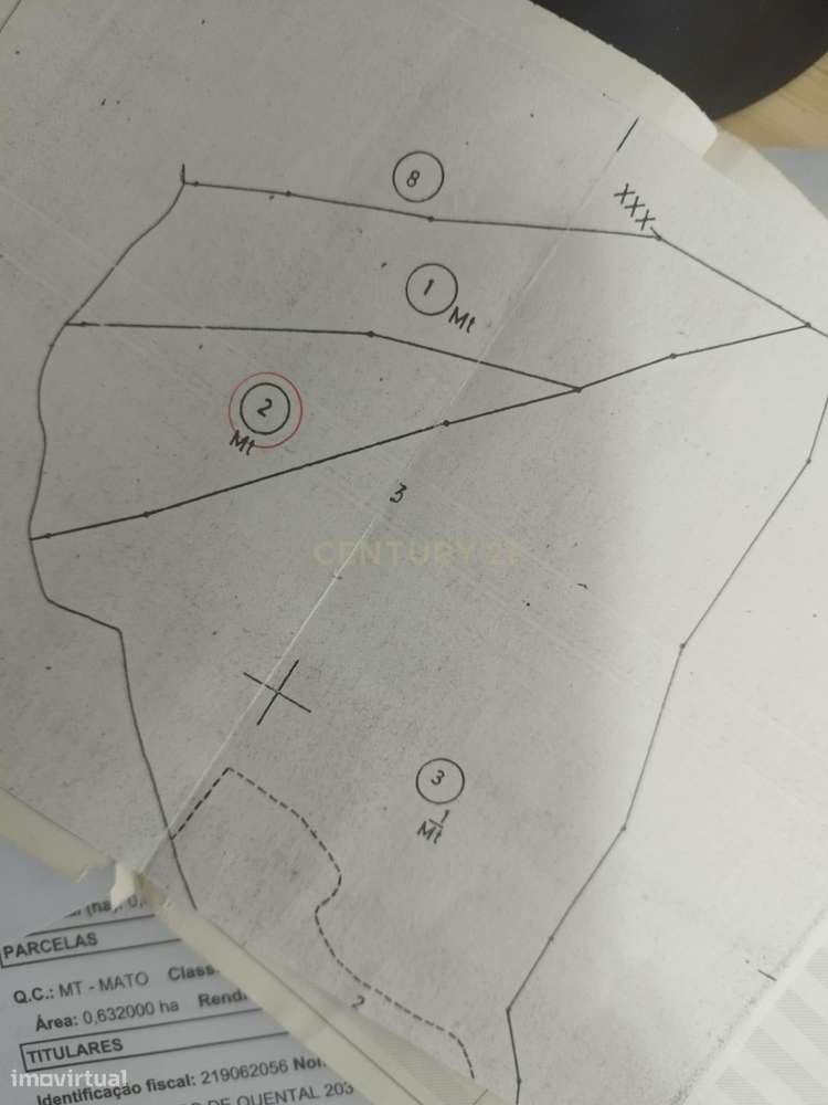 TERRENO RÚSTICO COM 6320m2, VEDADO COM PORTÃO AUTOMÁTICO NA ENTRADA - Grande imagem: 4/4