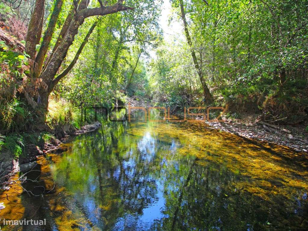 Quinta Isolada com Margem de Rio e Potencial de Eco-Retiro - Arouca-5