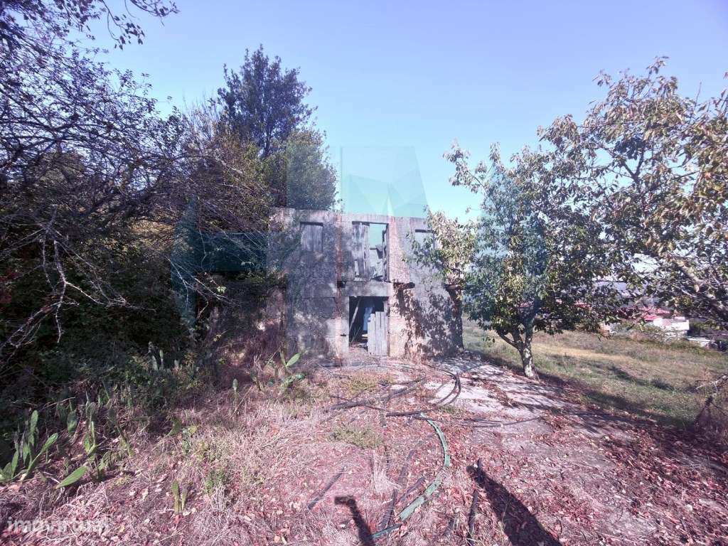 Quinta Histórica com Vista Deslumbrante sobre o Rio Tâmega-12