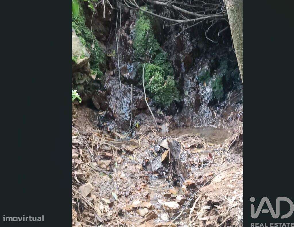 Terreno em Monchique de 30,00 m2 - Grande imagem: 5/11