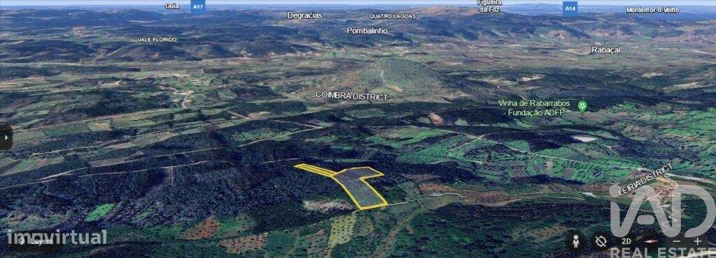 Terreno Agrícola em Alvorge de 7090,00 m2 - Grande imagem: 4/9