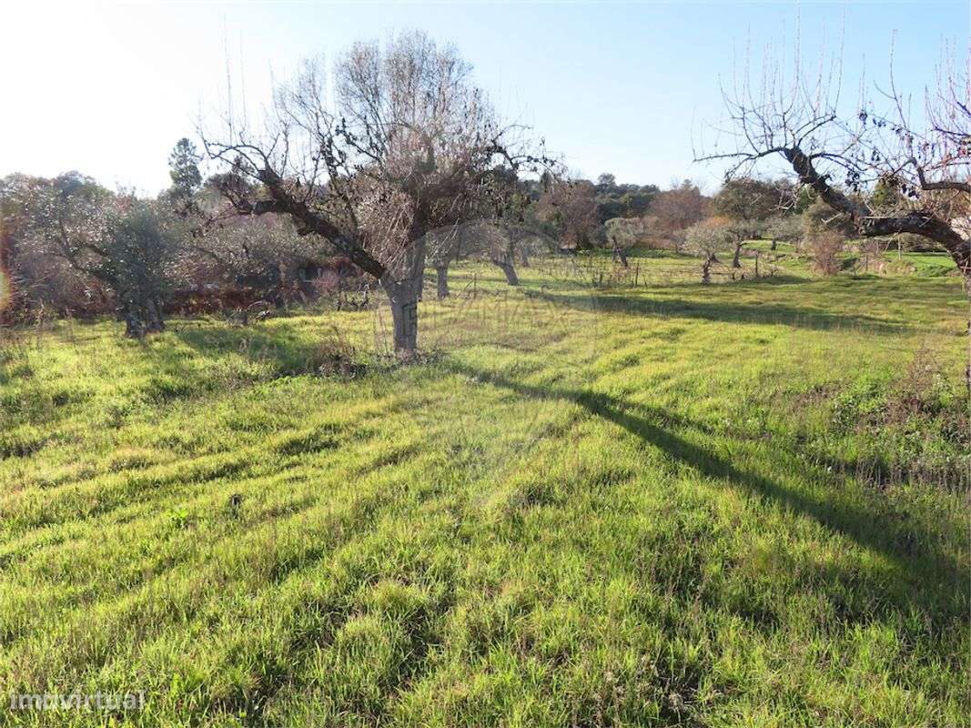 Quinta  para venda - Grande imagem: 2/35