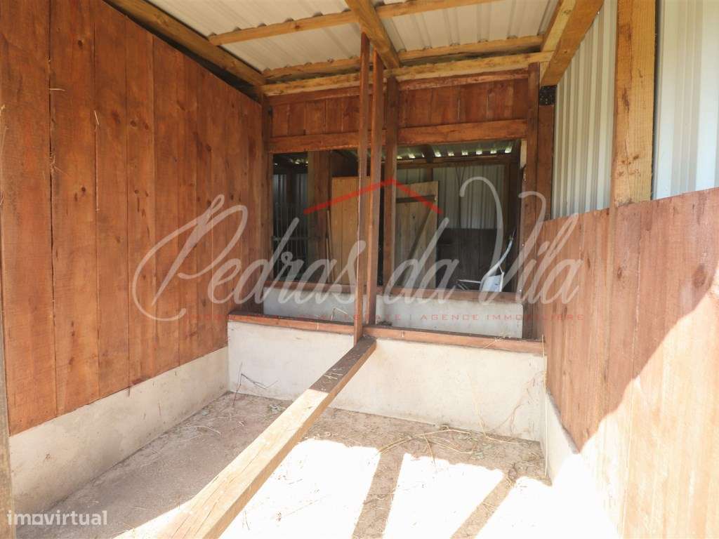 Quinta com 6,5ha em Vale Juncal - São Teotónio-58