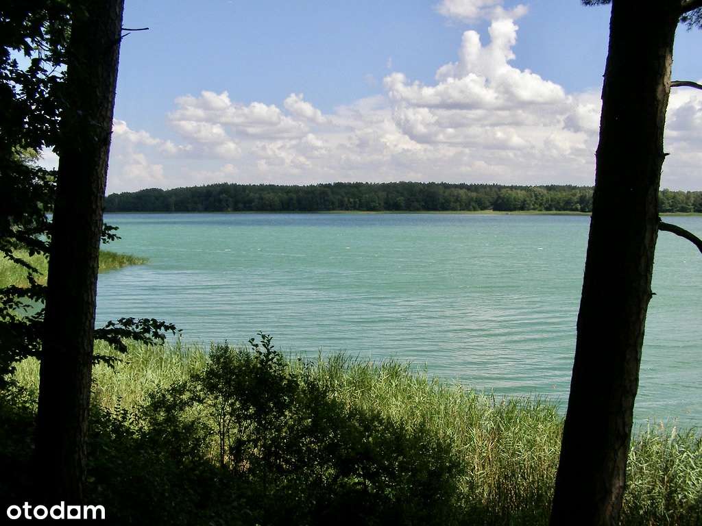 Działka, 1 100 m², Radziejewo-5