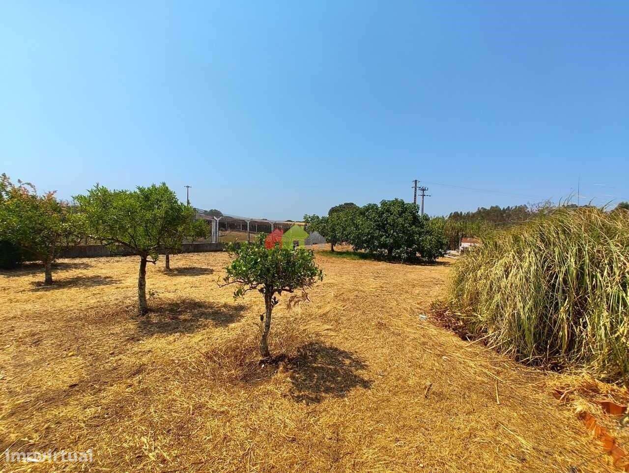 Quinta C/Moradia T2 - Foros de Vale de Figueira-39