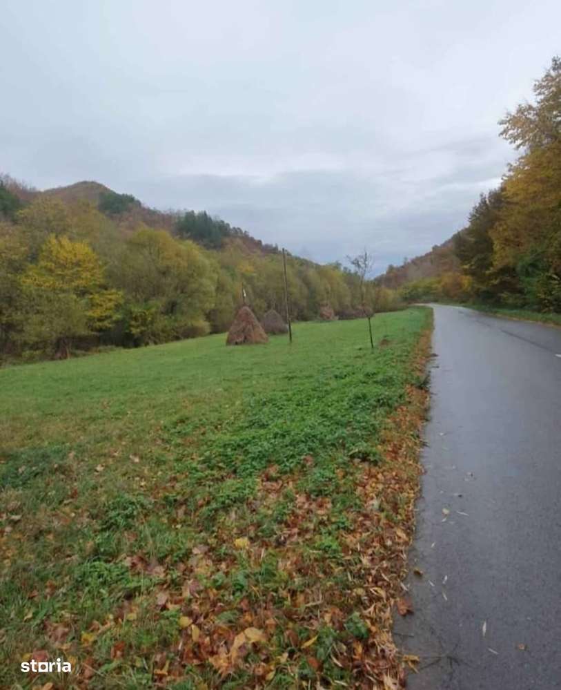 MIRIFIC! Teren intravilan 5500 mp Poiana Galdei - Imagine principală: 4/6