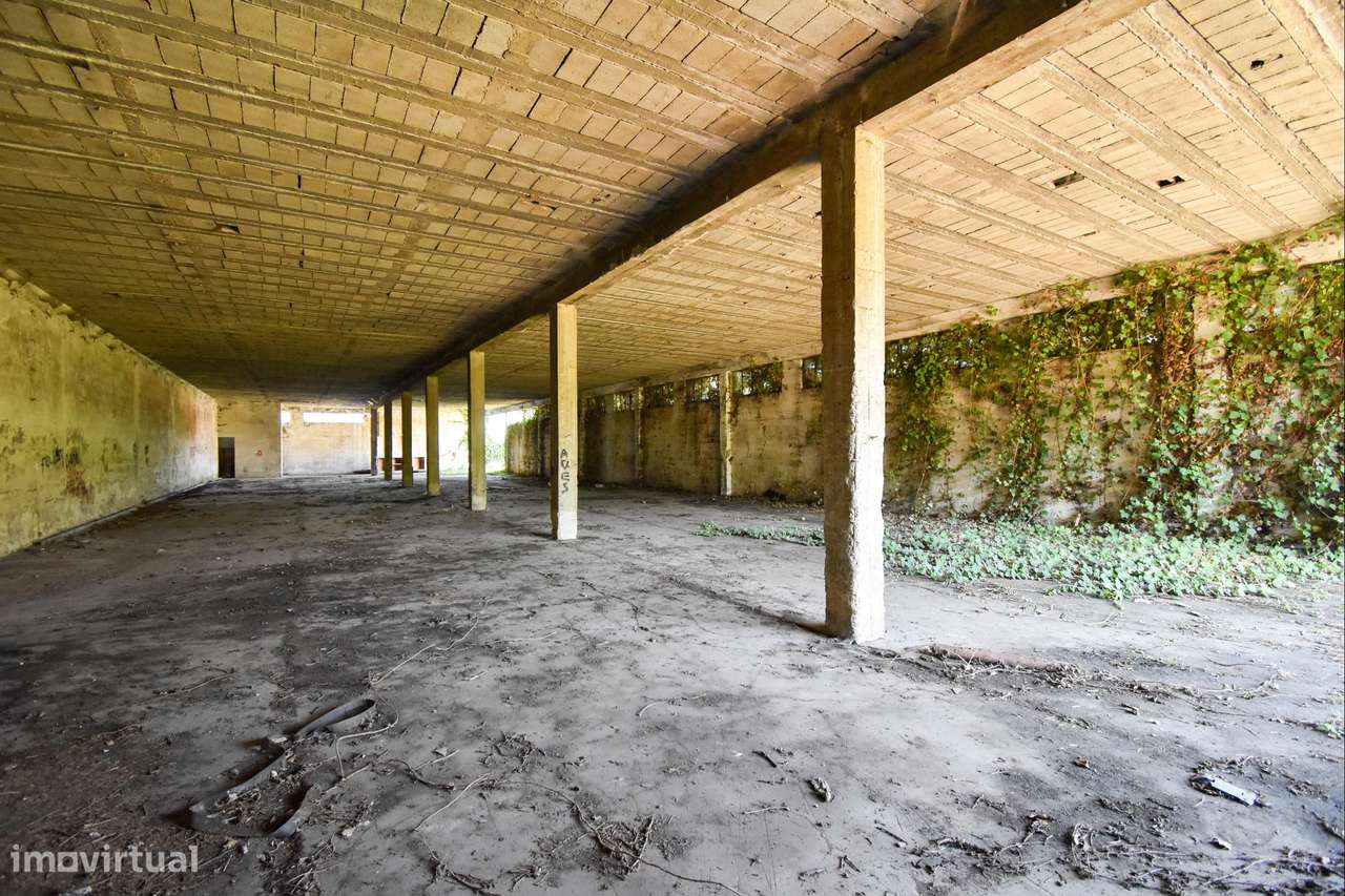 Terreno  Venda em Aves,Santo Tirso - Grande imagem: 4/8