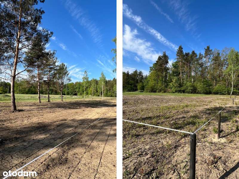 Działka 15 km od Warszawy. Z pozwoleniem na budowę. Sprawdź - Pełny obrazek: 2/10