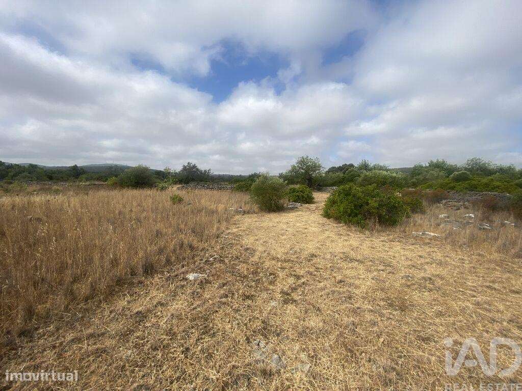 Terreno em Santa Catarina da Fonte do Bispo de 10000,00 m2 - Grande imagem: 5/26