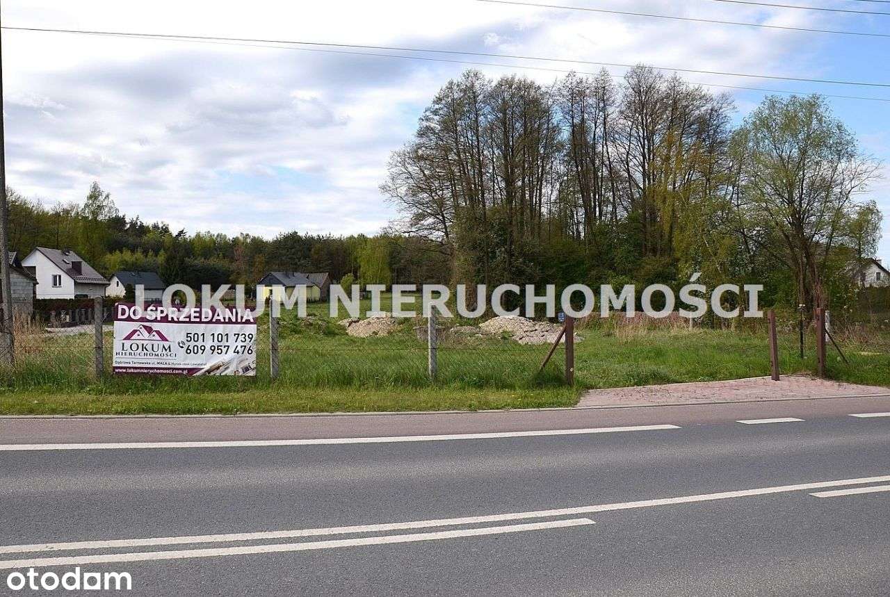 Oferta Dla Dewelopera Lub Inwestora! - Pełny obrazek: 3/8