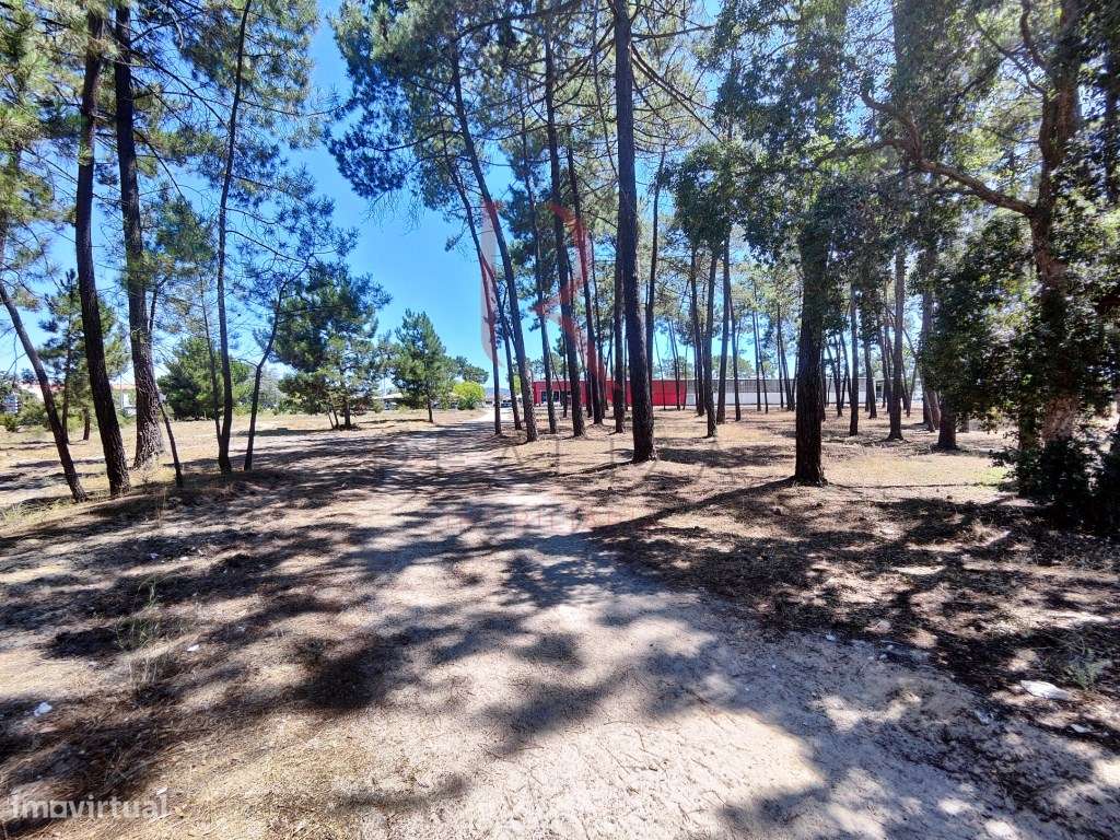 Lote de terreno em Pinhal de Negreiros - Grande imagem: 4/18