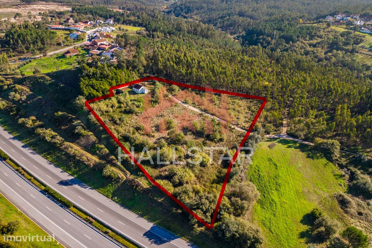 Quinta T3 em Remodelação / Terreno com 9.323m2 / Boa Vista-17