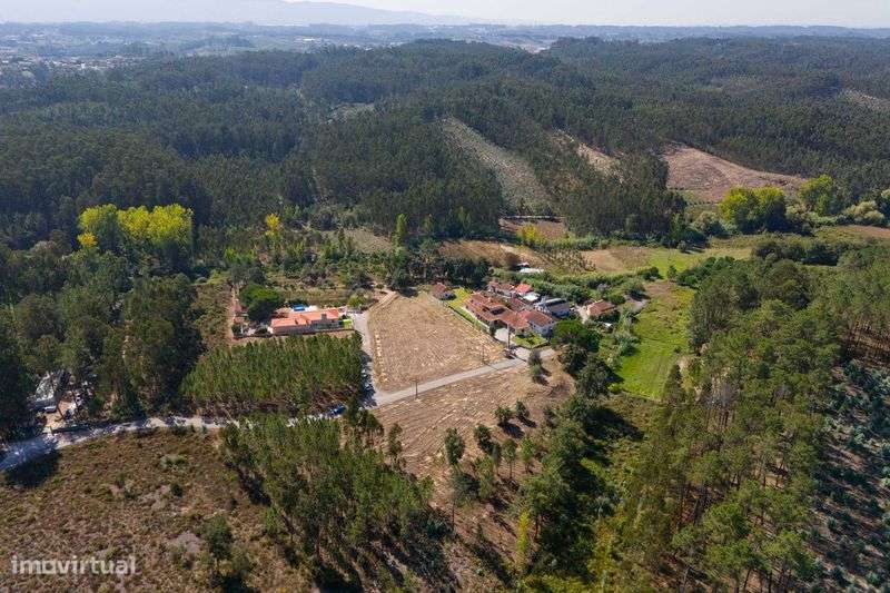 Terreno construção 4.000 metros quadrados a 15 minutos de Leiria - Grande imagem: 4/11