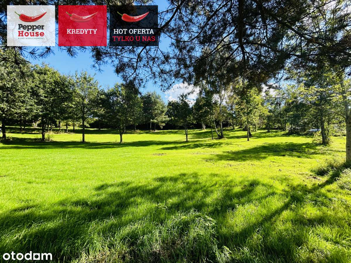 Na sprzedaż piękna działka  ul. Słoneczna Kłodawa - Pełny obrazek: 5/19