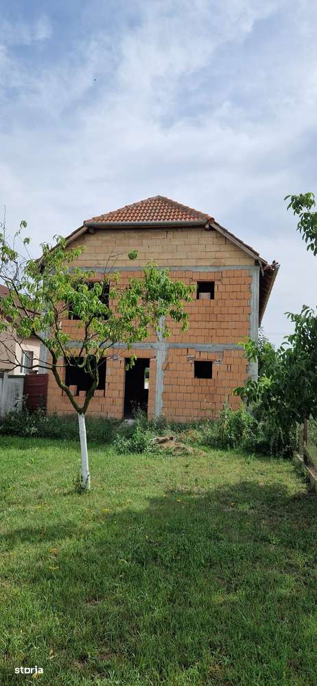 Casa Sannicolau Mic-7