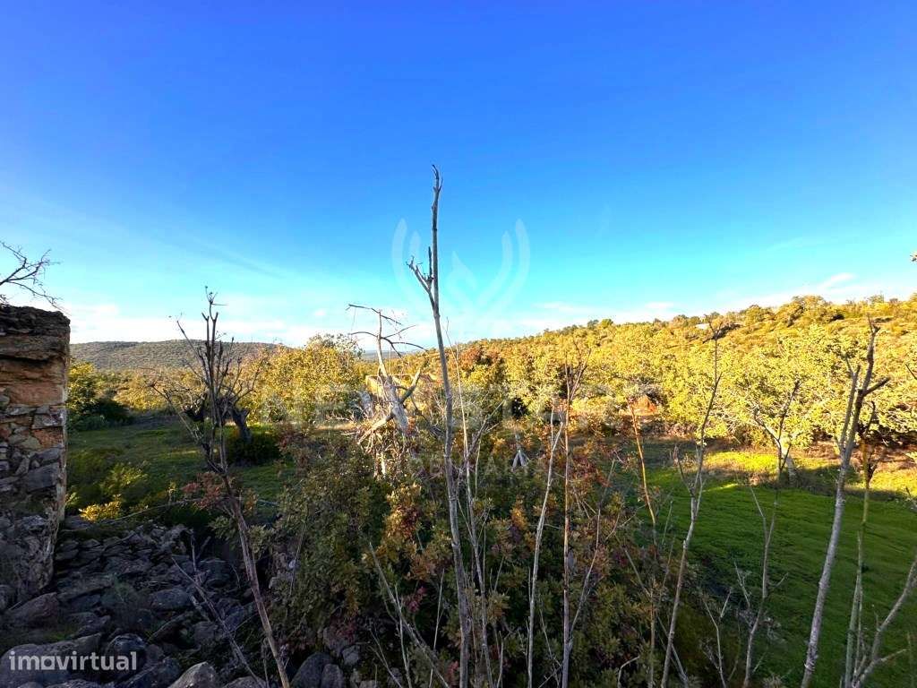 Terreno Misto em Boliqueime - Grande imagem: 4/23