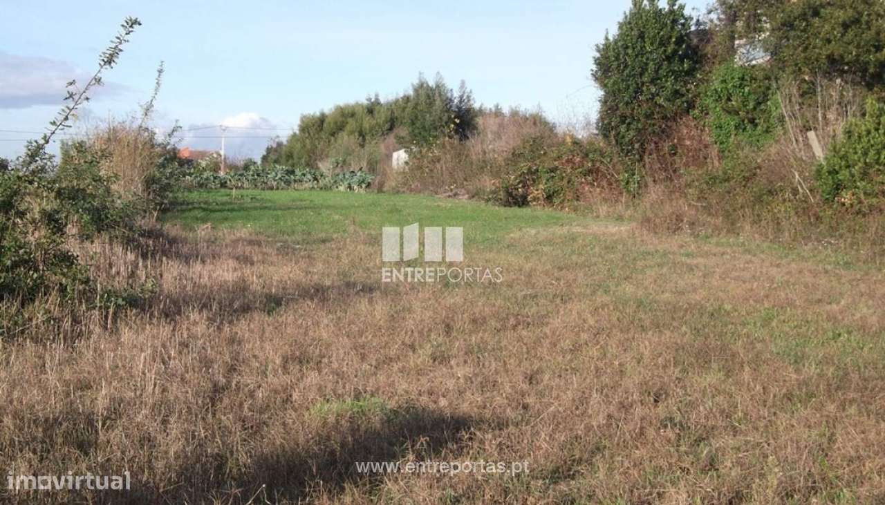 Terreno para venda, Moledo, Caminha - Grande imagem: 5/6