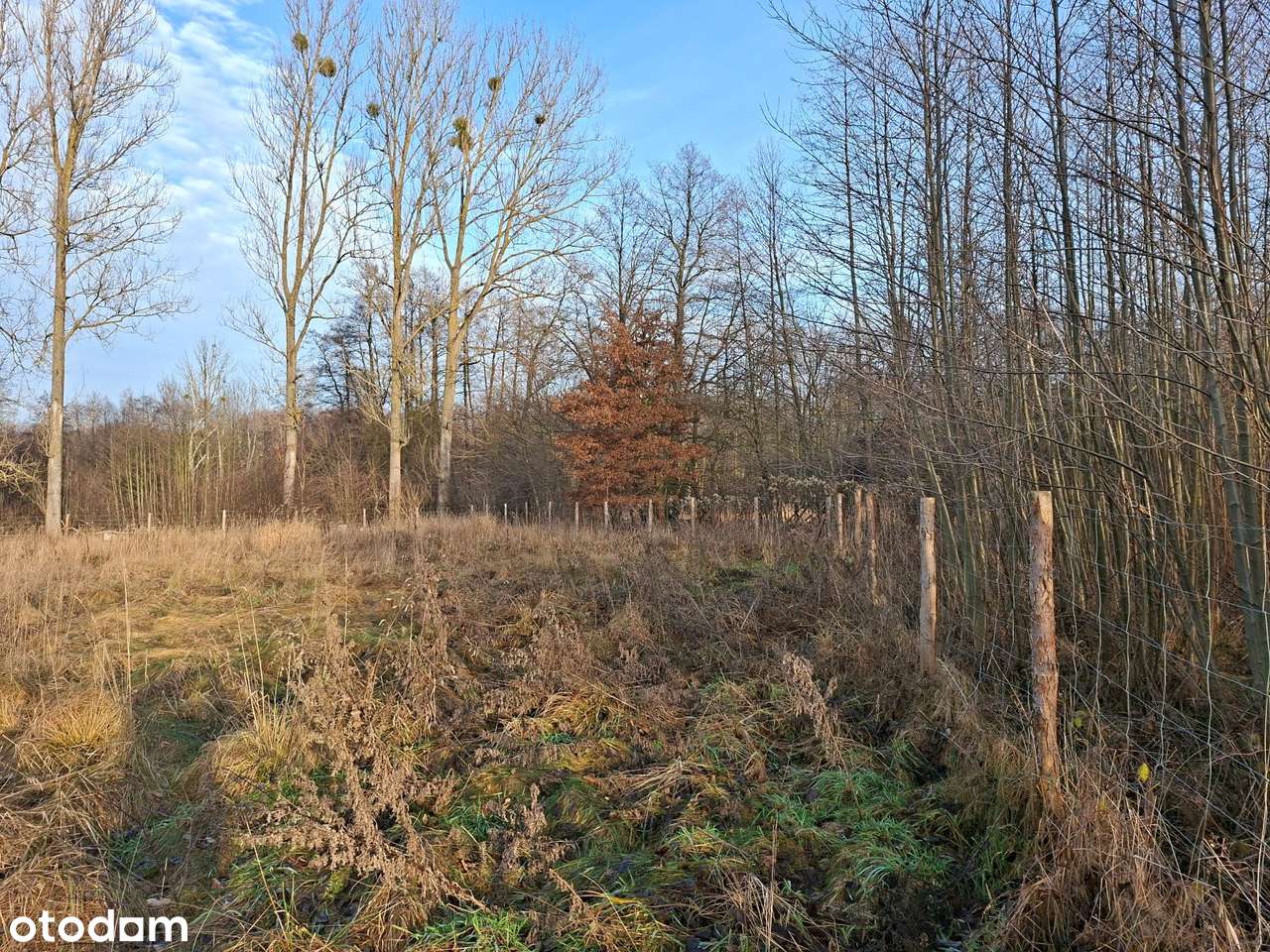 Działka siedliskowa z mediami i pozwoleniem na budowę.-4