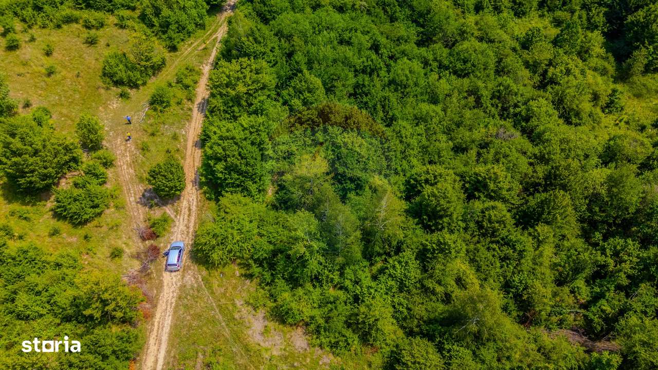 COMISION 0% Teren Grid/Inima Naturii/ Oportunitate de investiție - Imagine principală: 4/17