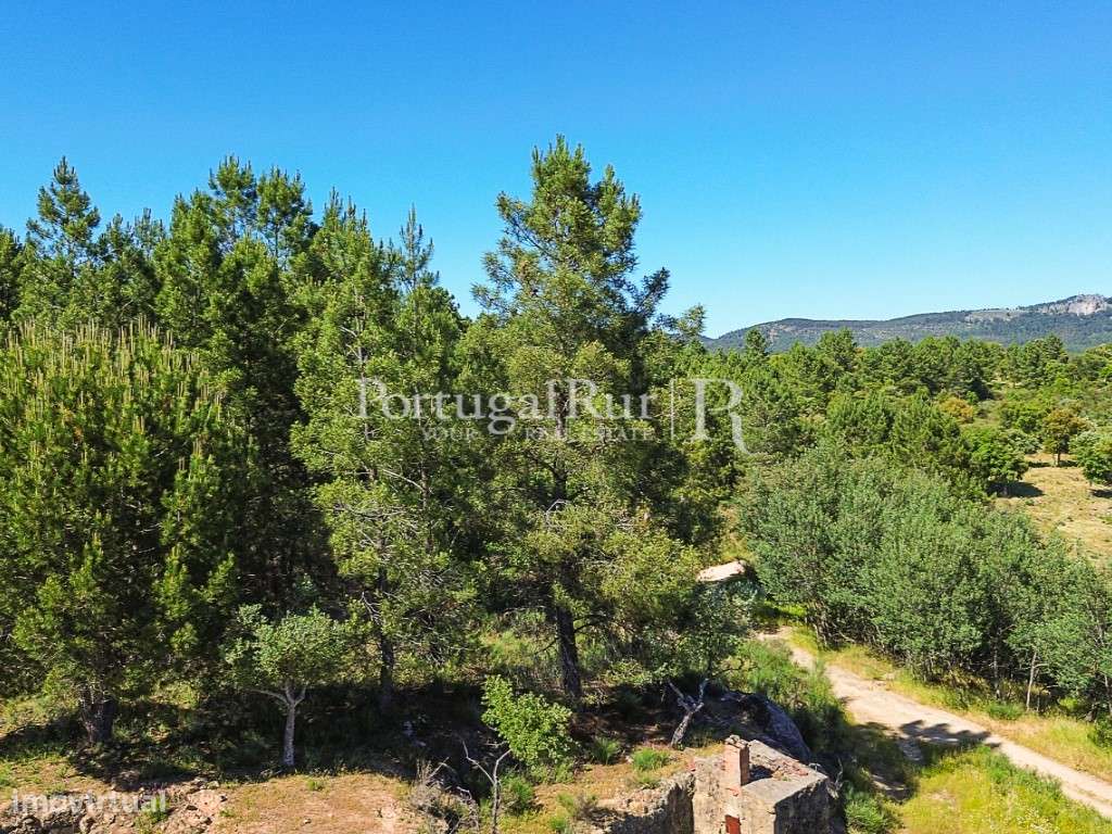 Quinta do Ponsulinho com 9,7 Hectares - Grande imagem: 5/13